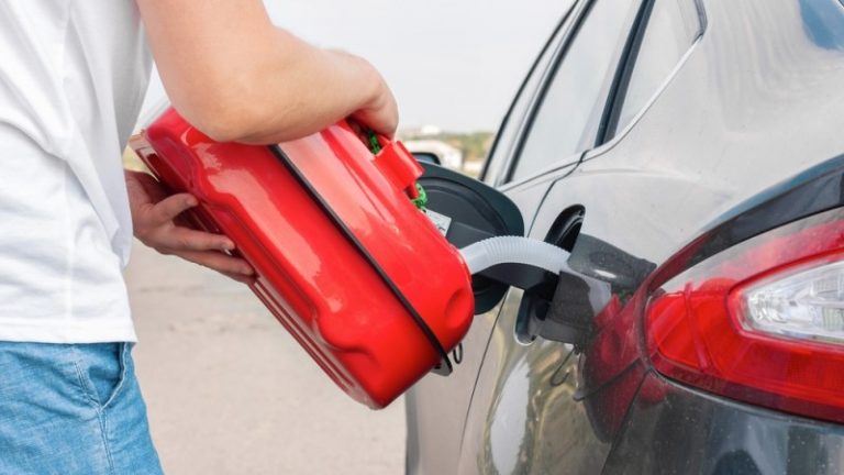 How Much Does A Gallon Of Diesel Weigh Rx Mechanic zucchini-pictures-and-information