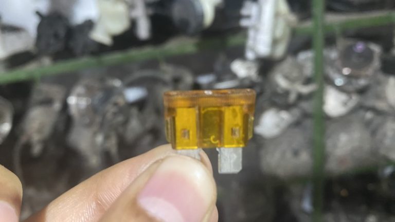 What Does A Blown Jcase Fuse Look Like rxmechanic.com