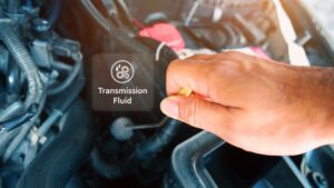 Why You Should Check Transmission Fluid When The Engine Is Running Rx