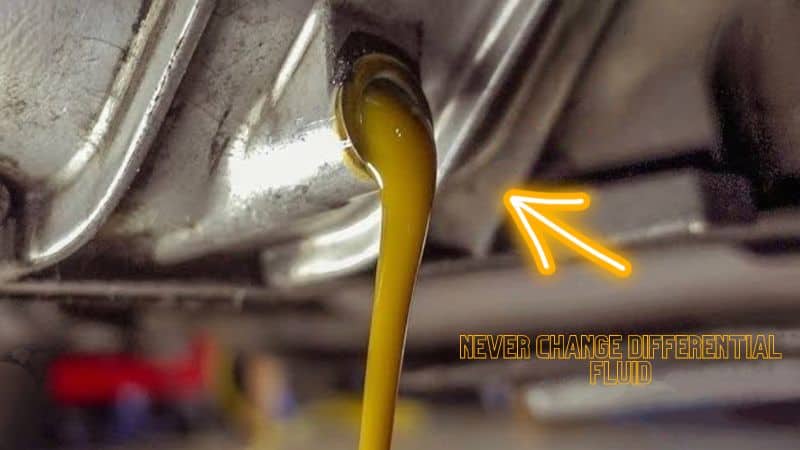 Exploring the Cost of Differential Fluid Change: Factors to Consider Exploring the Cost of Differential Fluid Change: Factors to Consider