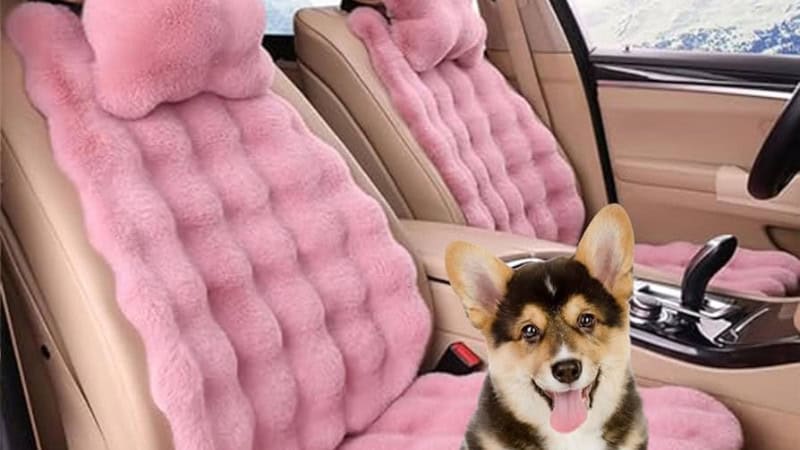 how to keep car warm without running it in winter